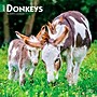 2027 BrownTrout Donkeys 12" x 12" Monthly Wall Calendar (9798330711895)~#|#~sp320817733_sc7