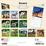 2027 BrownTrout Donkeys 12" x 12" Monthly Wall Calendar (9798330711895)~#|#~sp320817734_sc7