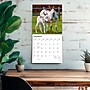 2027 BrownTrout Donkeys 12" x 12" Monthly Wall Calendar (9798330711895)~#|#~sp320817737_sc7