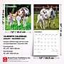 2027 BrownTrout Donkeys 12" x 12" Monthly Wall Calendar (9798330711895)~#|#~sp320817739_sc7