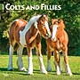 2027 BrownTrout Colts and Fillies 12" x 12" Monthly Wall Calendar (9798330711970)~#|#~sp320817773_sc7