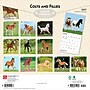 2027 BrownTrout Colts and Fillies 12" x 12" Monthly Wall Calendar (9798330711970)~#|#~sp320817774_sc7