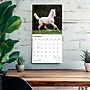 2027 BrownTrout Colts and Fillies 12" x 12" Monthly Wall Calendar (9798330711970)~#|#~sp320817777_sc7