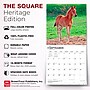2027 BrownTrout Colts and Fillies 12" x 12" Monthly Wall Calendar (9798330711970)~#|#~sp320817778_sc7