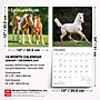 2027 BrownTrout Colts and Fillies 12" x 12" Monthly Wall Calendar (9798330711970)~#|#~sp320817779_sc7