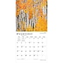 2027 BrownTrout Colorado Wild & Scenic 12" x 12" Monthly Wall Calendar (9798330710478)~#|#~sp320817786_sc7