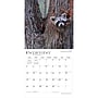 2027 BrownTrout Connecticut Wild & Scenic 12" x 12" Monthly Wall Calendar (9798330714155)~#|#~sp320817796_sc7
