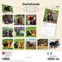 2027 BrownTrout Dachshunds 12" x 12" Monthly Wall Calendar (9798330712397)~#|#~sp320817814_sc7