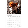 2027 BrownTrout Dachshunds 12" x 12" Monthly Wall Calendar (9798330712397)~#|#~sp320817815_sc7