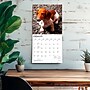 2027 BrownTrout Dachshunds 12" x 12" Monthly Wall Calendar (9798330712397)~#|#~sp320817817_sc7