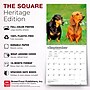 2027 BrownTrout Dachshunds 12" x 12" Monthly Wall Calendar (9798330712397)~#|#~sp320817818_sc7