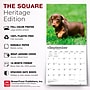2027 BrownTrout Dachshund Puppies 12" x 12" Monthly Wall Calendar (9798330712380)~#|#~sp320817828_sc7