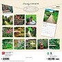 2027 BrownTrout Country Gardens 12" x 12" Monthly Wall Calendar (9798330711291)~#|#~sp320817834_sc7