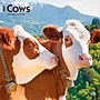 2027 BrownTrout Cows 12" x 12" Monthly Wall Calendar (9798330711888)~#|#~sp320817863_sc7