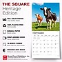 2027 BrownTrout Cows 12" x 12" Monthly Wall Calendar (9798330711888)~#|#~sp320817868_sc7