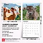 2027 BrownTrout Cows 12" x 12" Monthly Wall Calendar (9798330711888)~#|#~sp320817869_sc7