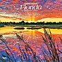 2027 BrownTrout Florida Wild & Scenic 12" x 12" Monthly Wall Calendar (9798330710522)~#|#~sp320818069_sc7