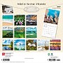 2027 BrownTrout Florida Wild & Scenic 12" x 12" Monthly Wall Calendar (9798330710522)~#|#~sp320818070_sc7