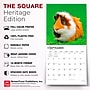 2027 BrownTrout Guinea Pigs 12" x 12" Monthly Wall Calendar (9798330711901)~#|#~sp320818238_sc7