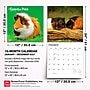 2027 BrownTrout Guinea Pigs 12" x 12" Monthly Wall Calendar (9798330711901)~#|#~sp320818239_sc7