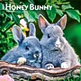 2027 BrownTrout Honey Bunny 12" x 12" Monthly Wall Calendar (9798330711925)~#|#~sp320818297_sc7