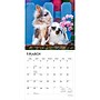 2027 BrownTrout Honey Bunny 12" x 12" Monthly Wall Calendar (9798330711925)~#|#~sp320818299_sc7