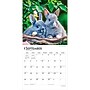 2027 BrownTrout Honey Bunny 12" x 12" Monthly Wall Calendar (9798330711925)~#|#~sp320818300_sc7