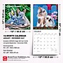 2027 BrownTrout Honey Bunny 12" x 12" Monthly Wall Calendar (9798330711925)~#|#~sp320818303_sc7