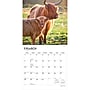 2027 BrownTrout Highland Cows 12" x 12" Monthly Wall Calendar (9798330711918)~#|#~sp320818359_sc7