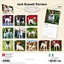 2027 BrownTrout Jack Russell Terriers 12" x 12" Monthly Wall Calendar (9798330714285)~#|#~sp320818444_sc7