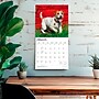 2027 BrownTrout Jack Russell Terriers 12" x 12" Monthly Wall Calendar (9798330714285)~#|#~sp320818447_sc7