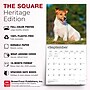 2027 BrownTrout Jack Russell Terriers 12" x 12" Monthly Wall Calendar (9798330714285)~#|#~sp320818448_sc7