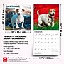 2027 BrownTrout Jack Russell Terriers 12" x 12" Monthly Wall Calendar (9798330714285)~#|#~sp320818449_sc7