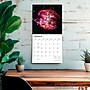 2027 BrownTrout James Webb Space Telescope 12" x 12" Monthly Wall Calendar (9798330711567)~#|#~sp320818506_sc7