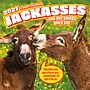 2027 BrownTrout Jackasses 12" x 12" Monthly Wall Calendar (9798330711437)~#|#~sp320818512_sc7