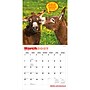 2027 BrownTrout Jackasses 12" x 12" Monthly Wall Calendar (9798330711437)~#|#~sp320818514_sc7