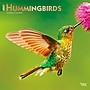2027 BrownTrout Hummingbirds 12" x 12" Monthly Wall Calendar (9798330712069)~#|#~sp320818523_sc7