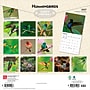 2027 BrownTrout Hummingbirds 12" x 12" Monthly Wall Calendar (9798330712069)~#|#~sp320818524_sc7