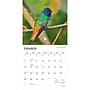2027 BrownTrout Hummingbirds 12" x 12" Monthly Wall Calendar (9798330712069)~#|#~sp320818525_sc7