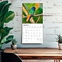 2027 BrownTrout Hummingbirds 12" x 12" Monthly Wall Calendar (9798330712069)~#|#~sp320818527_sc7