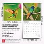 2027 BrownTrout Hummingbirds 12" x 12" Monthly Wall Calendar (9798330712069)~#|#~sp320818529_sc7