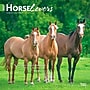2027 BrownTrout Horse Lovers 12" x 12" Monthly Wall Calendar (9798330711987)~#|#~sp320818543_sc7