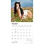 2027 BrownTrout Horse Lovers 12" x 12" Monthly Wall Calendar (9798330711987)~#|#~sp320818545_sc7