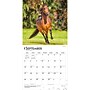 2027 BrownTrout Horse Lovers 12" x 12" Monthly Wall Calendar (9798330711987)~#|#~sp320818546_sc7