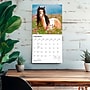 2027 BrownTrout Horse Lovers 12" x 12" Monthly Wall Calendar (9798330711987)~#|#~sp320818547_sc7