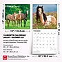2027 BrownTrout Horse Lovers 12" x 12" Monthly Wall Calendar (9798330711987)~#|#~sp320818549_sc7