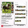 2027 BrownTrout 365 Days of Horses 12" x 12" Monthly Wall Calendar (9798330712007)~#|#~sp320818570_sc7