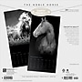 2027 BrownTrout The Noble Horse 12" x 12" Monthly Wall Calendar (9798330711994)~#|#~sp320818575_sc7