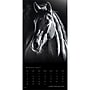 2027 BrownTrout The Noble Horse 12" x 12" Monthly Wall Calendar (9798330711994)~#|#~sp320818576_sc7