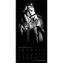 2027 BrownTrout The Noble Horse 12" x 12" Monthly Wall Calendar (9798330711994)~#|#~sp320818577_sc7